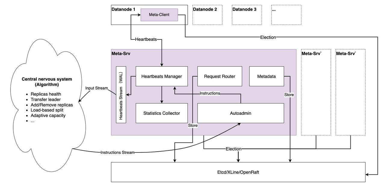 metasrv-architecture